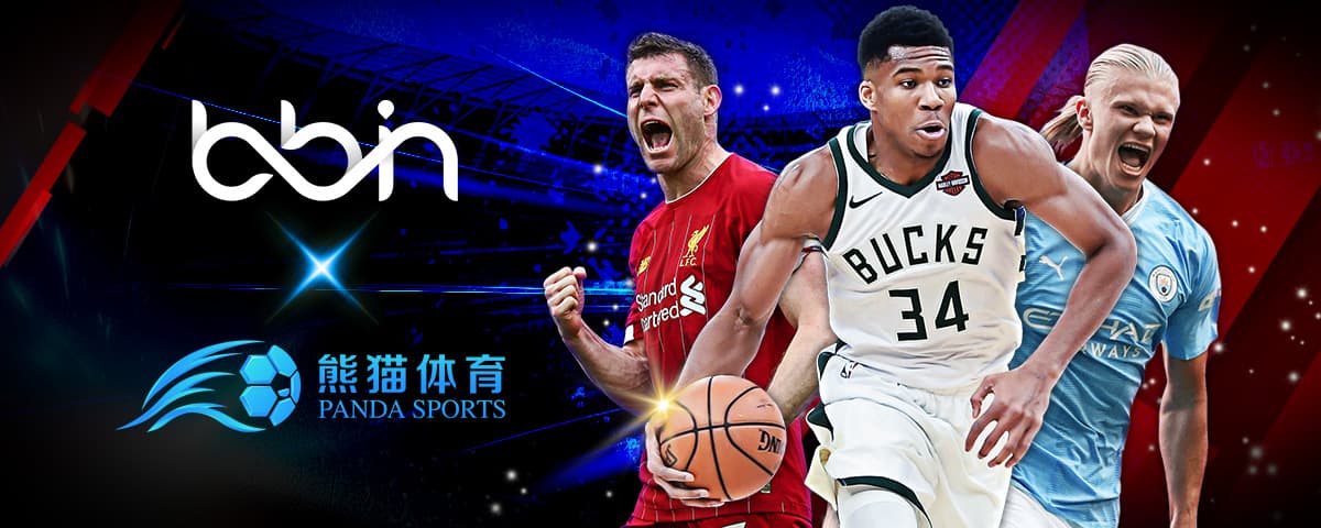 今年新增的